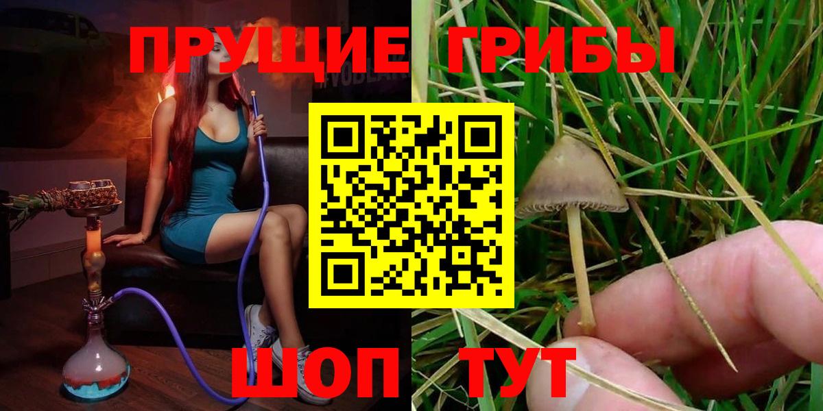 сколько стоит  Псилоцибиновые грибы Psilocybe  Вход с VPN  Кисловодск 